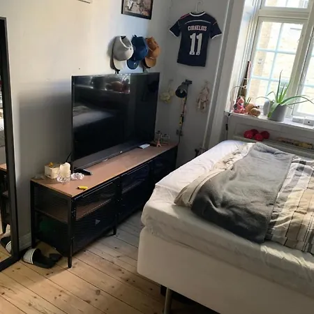Dejlig Lys Lejlighed Pa Osterbro Apartamento Copenhague