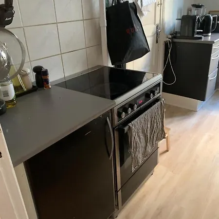 Dejlig Lys Lejlighed Pa Osterbro Apartamento Copenhague